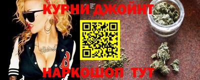 сатива Новозыбков