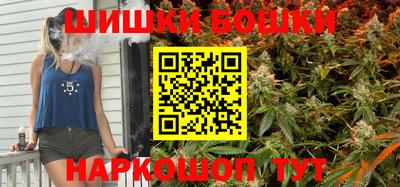 сатива Новозыбков