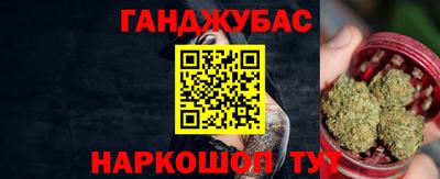 сатива Новозыбков