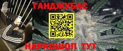 сатива Новозыбков