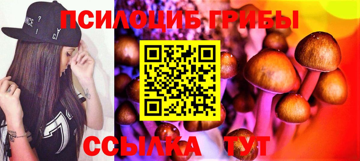 Галлюциногенные грибы Magic Shrooms  наркота  Галлюциногенные грибы GOLDEN TEACHER  Топки  Вход с VPN 